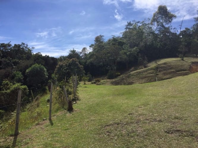 Finca en venta en Pantanillo, Envigado, 26160 m² · foto 5 de 14