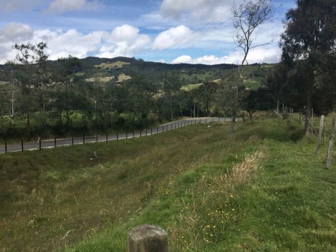 Finca en venta en Pantanillo, Envigado, 26160 m² · foto 6 de 14