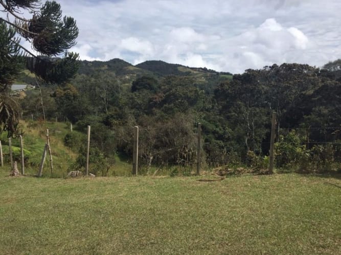 Finca en venta en Pantanillo, Envigado, 26160 m² · foto 7 de 14