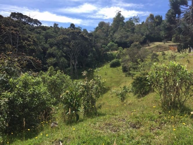 Finca en venta en Pantanillo, Envigado, 26160 m² · foto 10 de 14