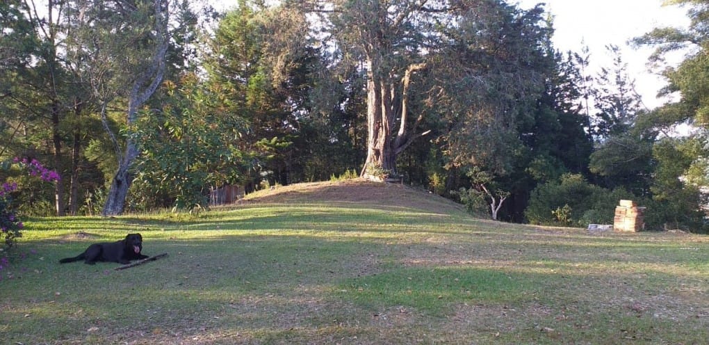 Finca en venta en La Convencion, Rionegro, 54200 m² · foto 10 de 12
