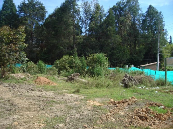 Lote en venta en La Clara, Guarne, 10900 m² · foto 3 de 10
