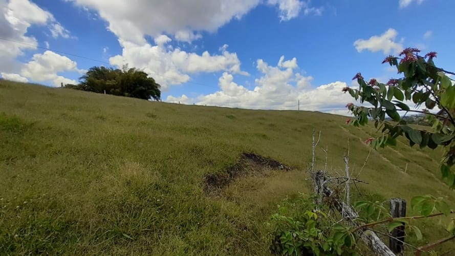 Lote en venta en El Carmen De Viboral, El Carmen de Viboral, 2613 m² · foto 5 de 16
