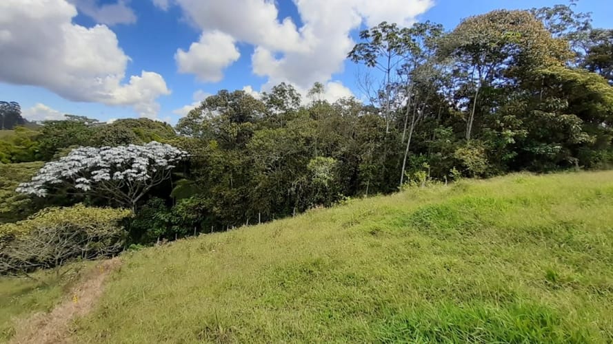 Lote en venta en El Carmen De Viboral, El Carmen de Viboral, 2613 m² · foto 8 de 16