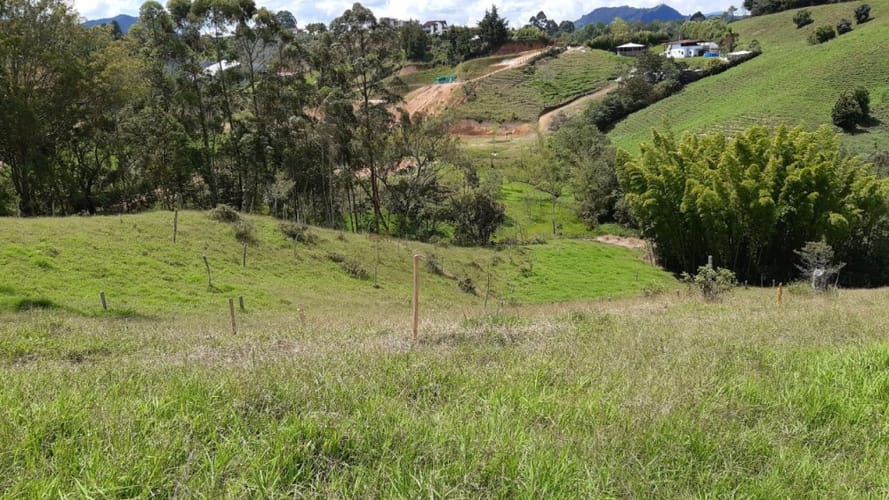 Lote en venta en El Carmen De Viboral, El Carmen de Viboral, 2613 m² · foto 12 de 16