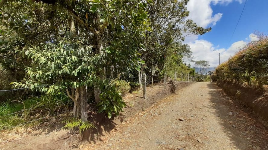 Lote en venta en El Carmen De Viboral, El Carmen de Viboral, 2613 m² · foto 13 de 16