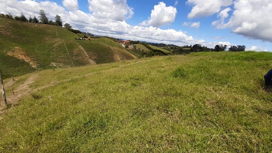 Lote en venta en El Carmen De Viboral, El Carmen de Viboral, 2613 m² · foto 15 de 16