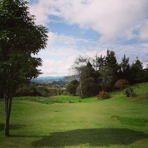 Finca en venta en La Cuenca, Envigado, 12800 m² · foto 5 de 16