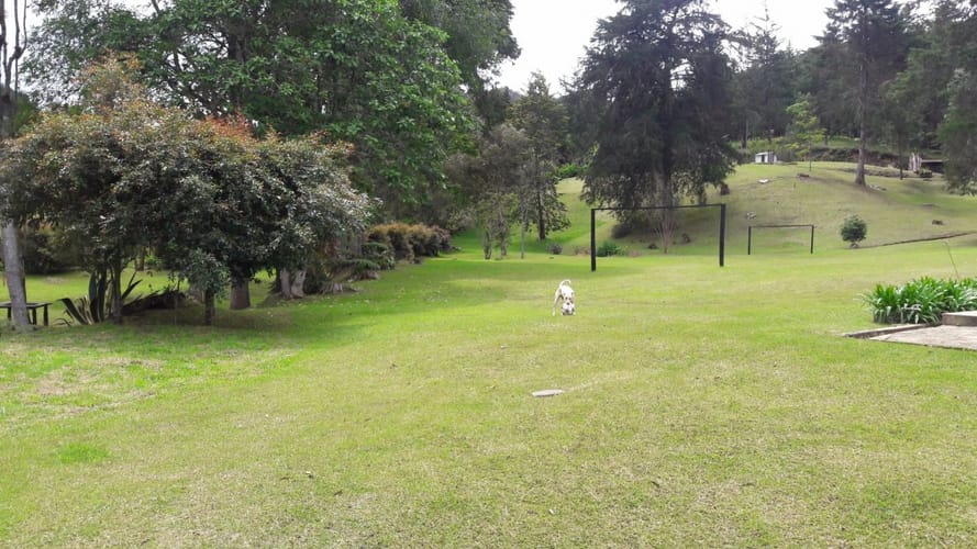 Finca en venta en Vía Las Palmas, El Retiro, 64000 m² · foto 7 de 18