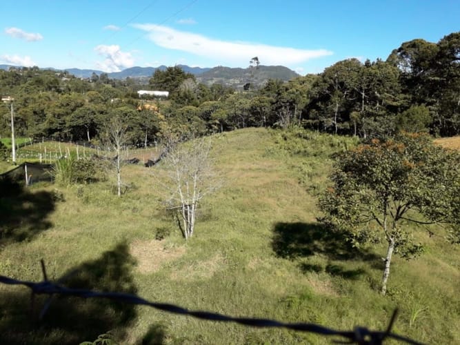 Lote en venta en Cabeceras De Llanogrande, Rionegro, 5537 m² · foto 7 de 13