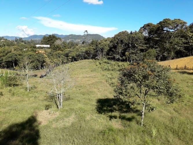 Lote en venta en Cabeceras De Llanogrande, Rionegro, 5537 m² · foto 8 de 13