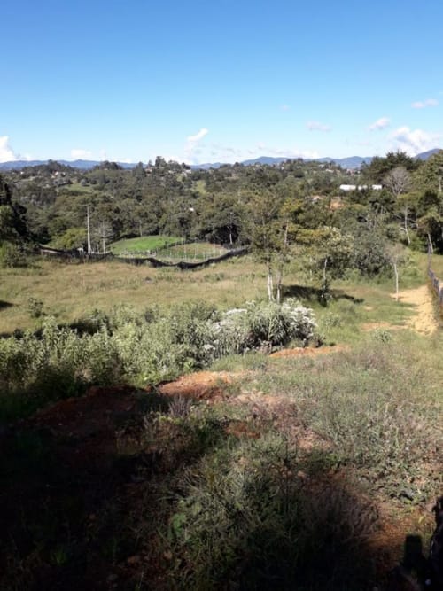 Lote en venta en Cabeceras De Llanogrande, Rionegro, 5537 m² · foto 11 de 13