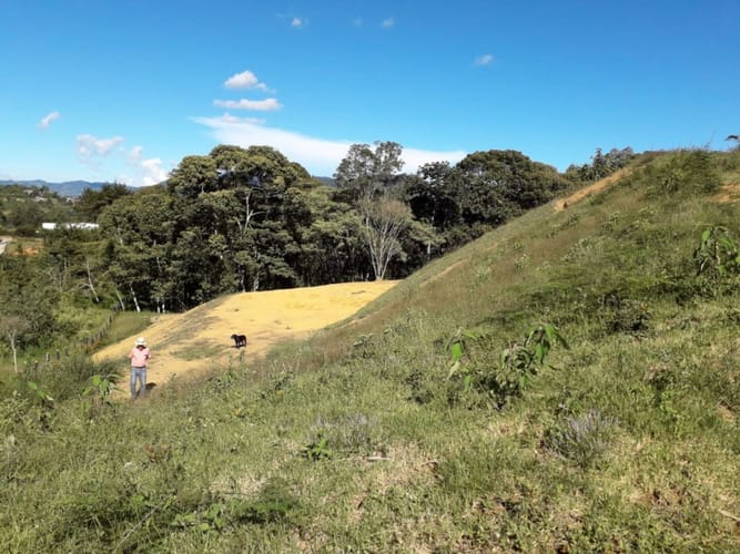 Lote en venta en Cabeceras De Llanogrande, Rionegro, 5537 m² · foto 12 de 13