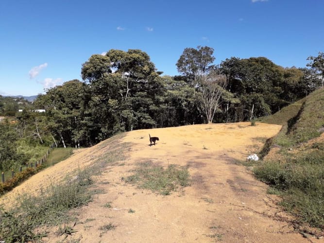 Lote en venta en Cabeceras De Llanogrande, Rionegro, 5537 m² · foto 13 de 13