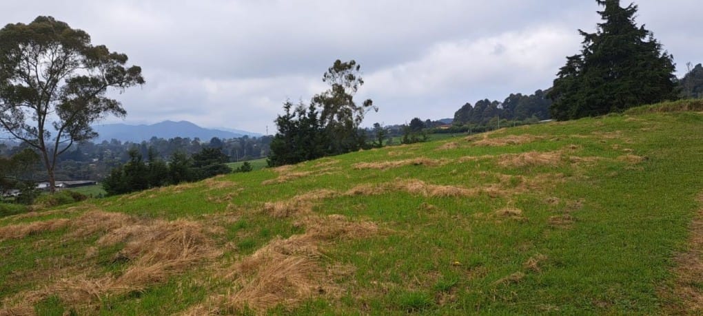 Lote en venta en Vía Las Palmas, Envigado, 2000 m² · foto 3 de 13