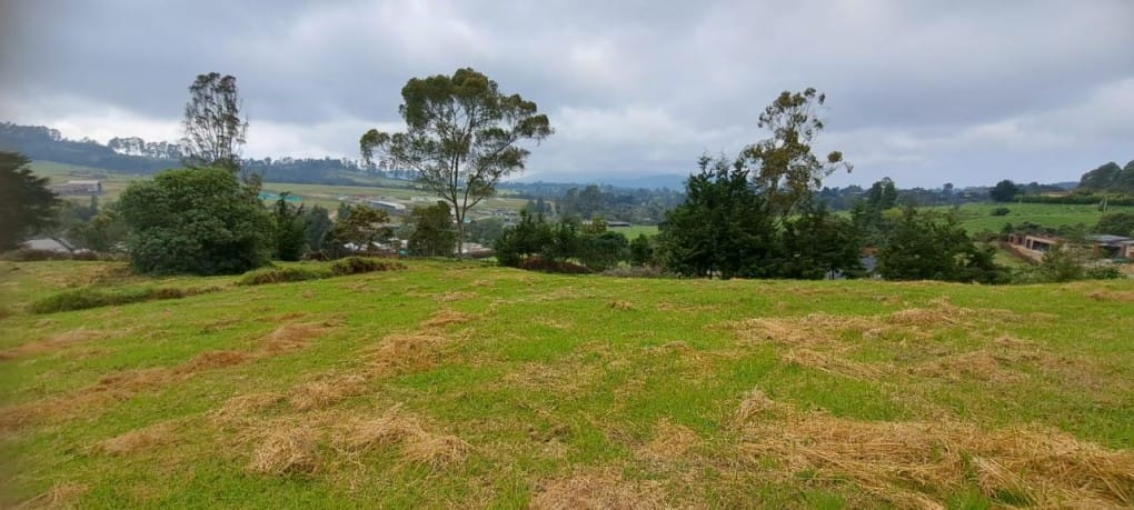 Lote en venta en Vía Las Palmas, Envigado, 2000 m² · foto 6 de 13