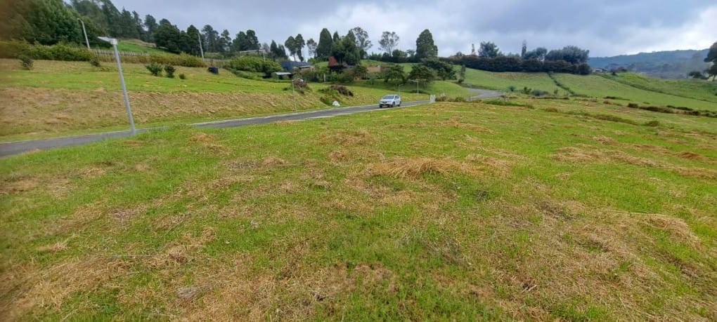 Lote en venta en Vía Las Palmas, Envigado, 2000 m² · foto 7 de 13