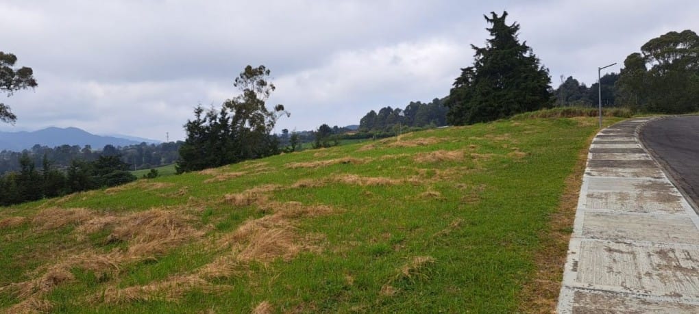 Lote en venta en Vía Las Palmas, Envigado, 2000 m² · foto 8 de 13