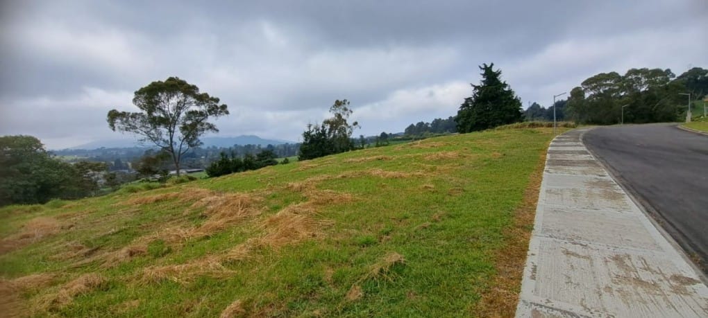 Lote en venta en Vía Las Palmas, Envigado, 2000 m² · foto 10 de 13