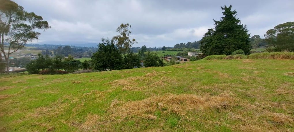 Lote en venta en Vía Las Palmas, Envigado, 2000 m² · foto 11 de 13