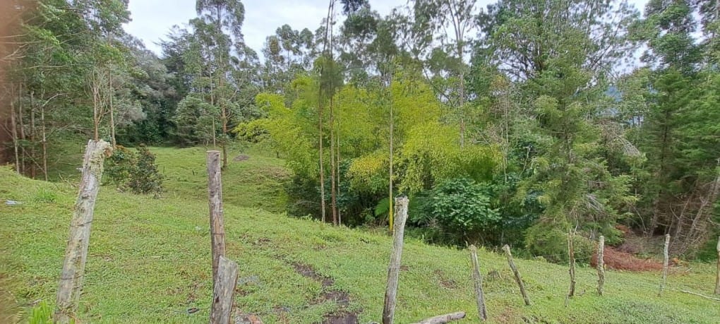 Lote en venta en Guamito, El Carmen de Viboral, 17889 m² · foto 5 de 24