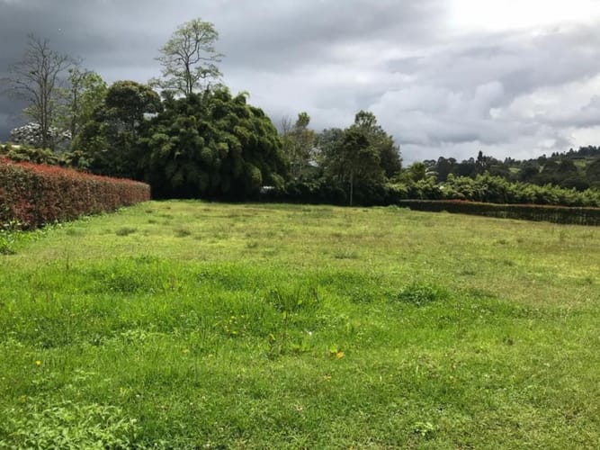 Lote en venta en Quirama, El Carmen de Viboral, 2688 m² · foto 7 de 8