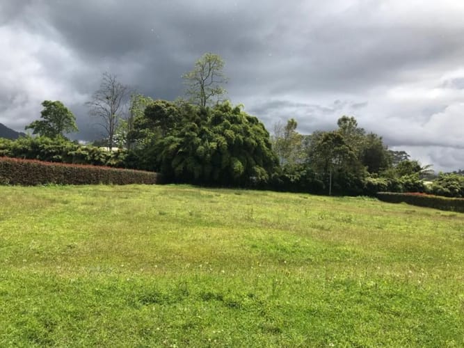 Lote en venta en Quirama, El Carmen de Viboral, 2688 m² · foto 8 de 8