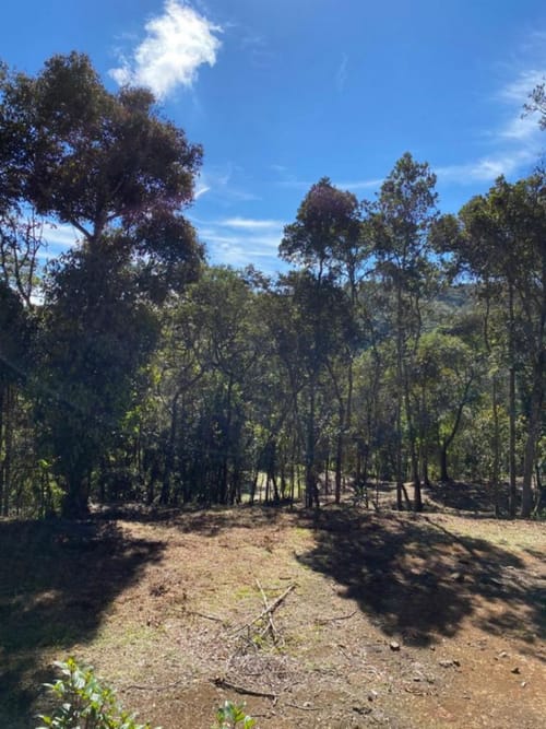 Lote en venta en Guarne, 14000 m² · foto 2 de 14