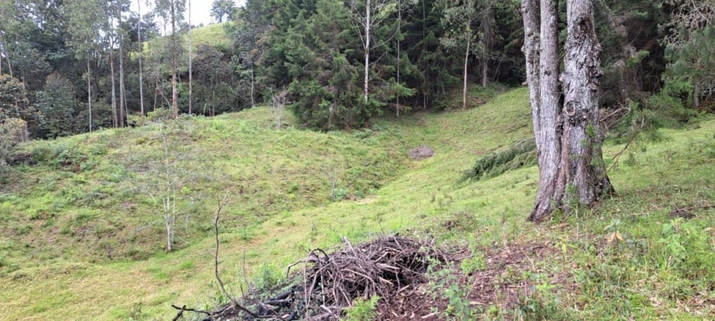 Lote en venta en Guamito, El Carmen de Viboral, 17889 m² · foto 9 de 24