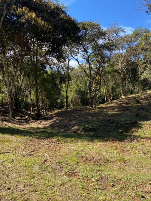 Lote en venta en Guarne, 14000 m² · foto 4 de 14