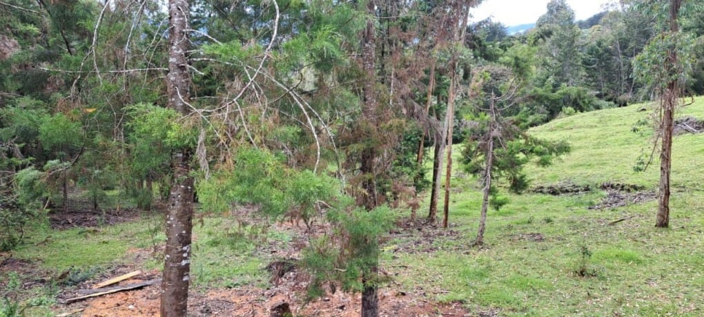 Lote en venta en Guamito, El Carmen de Viboral, 17889 m² · foto 11 de 24