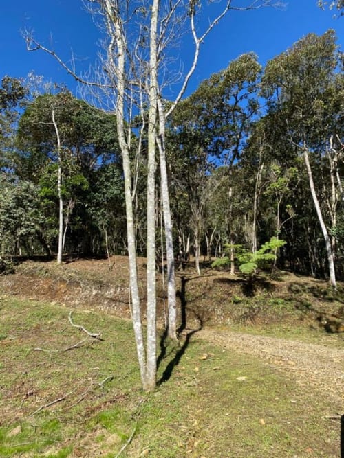Lote en venta en Guarne, 14000 m² · foto 5 de 14