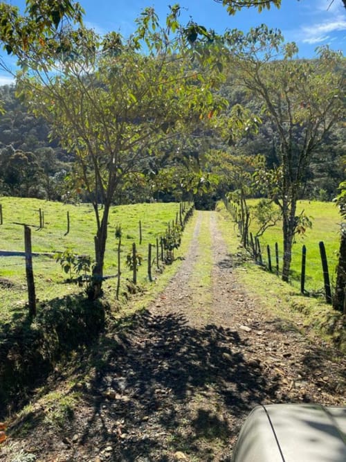 Lote en venta en Guarne, 14000 m² · foto 6 de 14