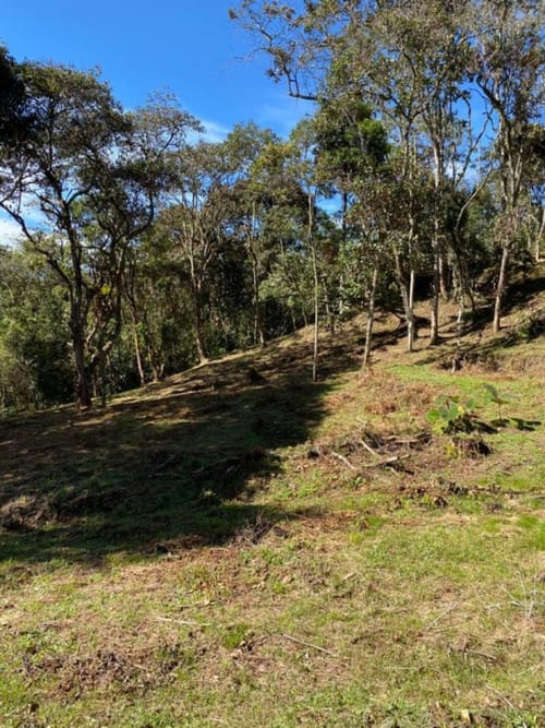 Lote en venta en Guarne, 14000 m² · foto 8 de 14