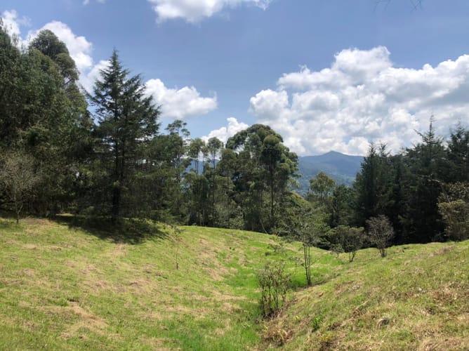 Lote en venta en Guamito, El Carmen de Viboral, 17889 m² · foto 16 de 24