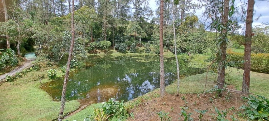 Finca en venta en El Retiro, 19123 m² · foto 7 de 20