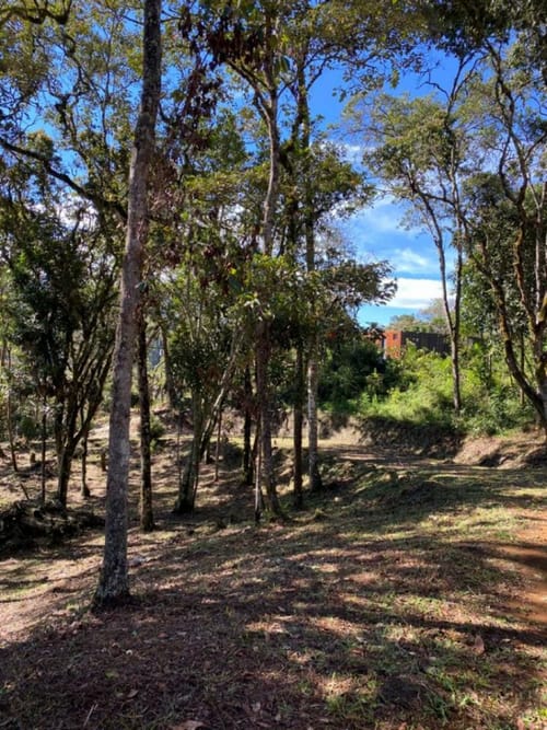Lote en venta en Guarne, 14000 m² · foto 9 de 14