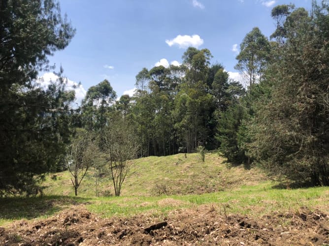 Lote en venta en Guamito, El Carmen de Viboral, 17889 m² · foto 17 de 24