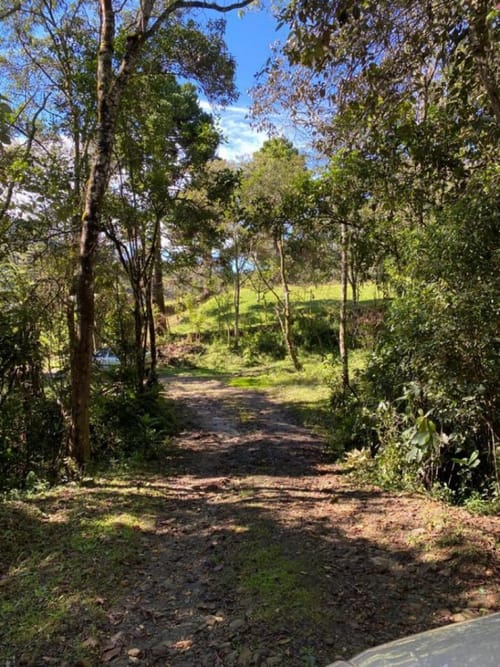 Lote en venta en Guarne, 14000 m² · foto 10 de 14