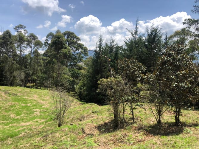 Lote en venta en Guamito, El Carmen de Viboral, 17889 m² · foto 18 de 24