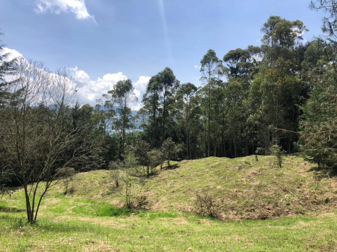 Lote en venta en Guamito, El Carmen de Viboral, 17889 m² · foto 19 de 24