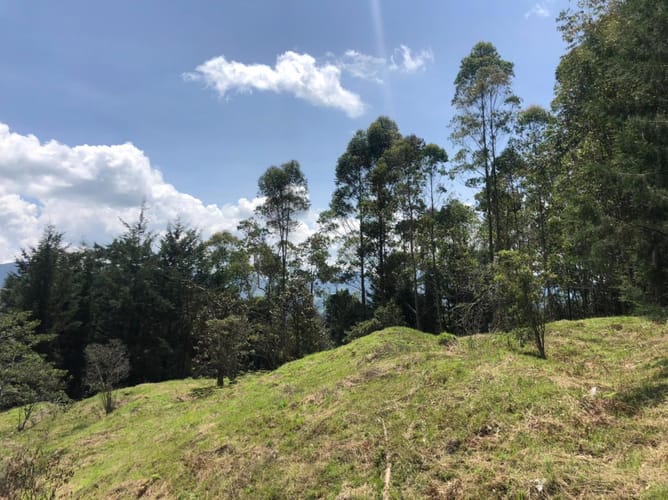Lote en venta en Guamito, El Carmen de Viboral, 17889 m² · foto 20 de 24