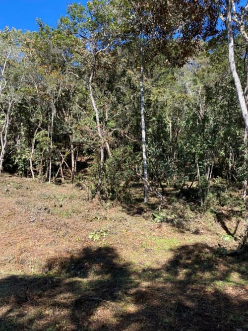 Lote en venta en Guarne, 14000 m² · foto 12 de 14