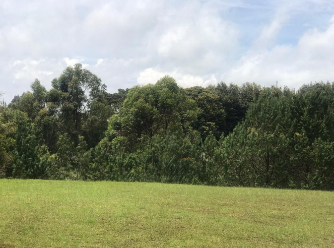 Lote en venta en Llano Grande, Rionegro, 3758 m² · foto 2 de 19