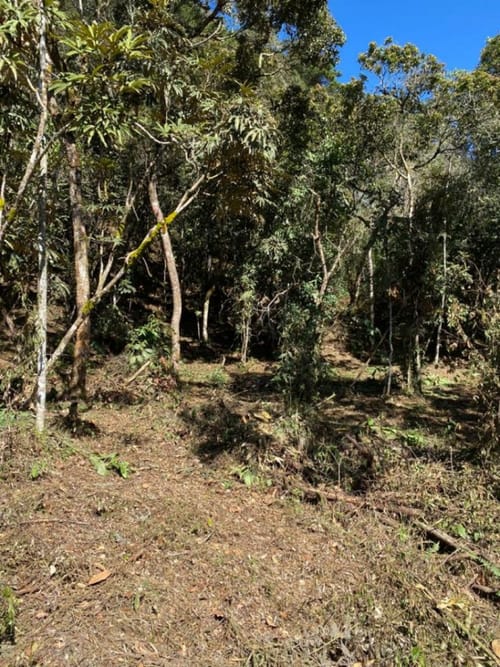 Lote en venta en Guarne, 14000 m² · foto 13 de 14