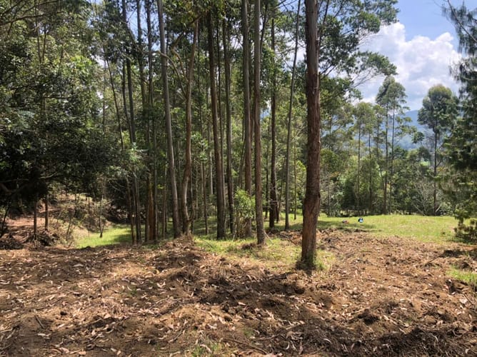 Lote en venta en Guamito, El Carmen de Viboral, 17889 m² · foto 22 de 24