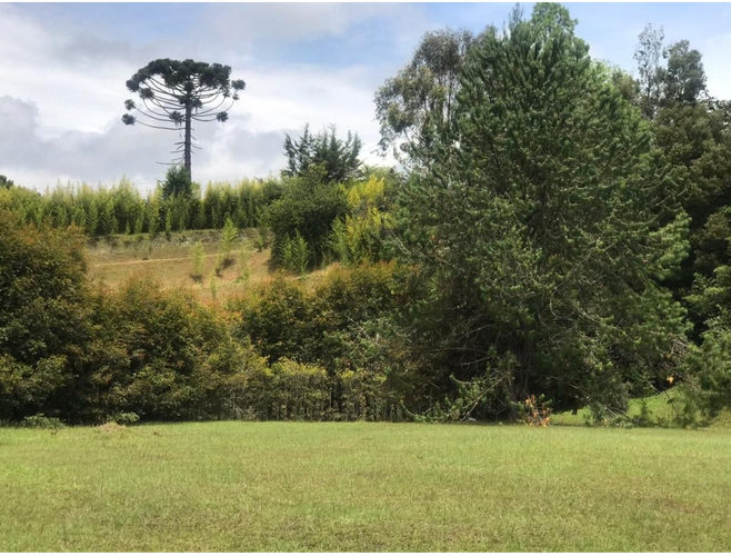 Lote en venta en Llano Grande, Rionegro, 3758 m² · foto 4 de 19