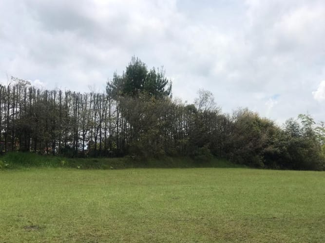 Lote en venta en Llano Grande, Rionegro, 3758 m² · foto 5 de 19