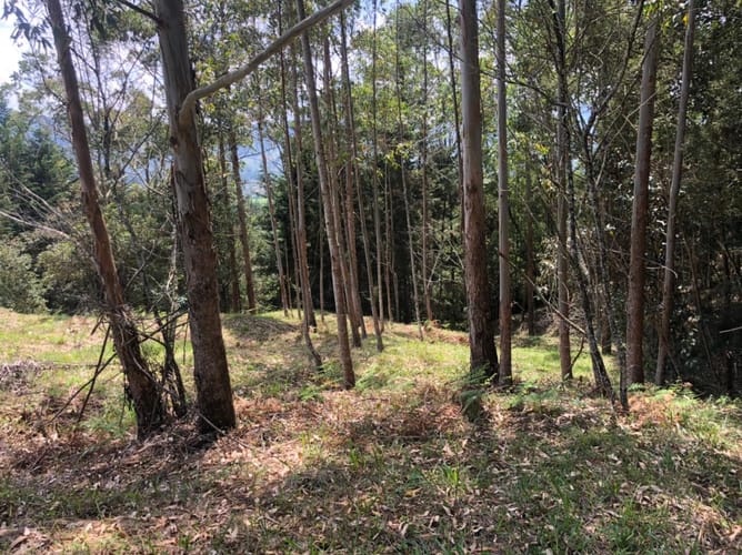Lote en venta en Guamito, El Carmen de Viboral, 17889 m² · foto 24 de 24