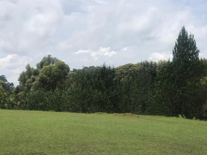 Lote en venta en Llano Grande, Rionegro, 3758 m² · foto 8 de 19